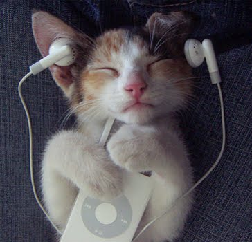 cat2bpod