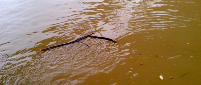 a2fe0c3f-2fcf-44e9-8655-ef0399039bee