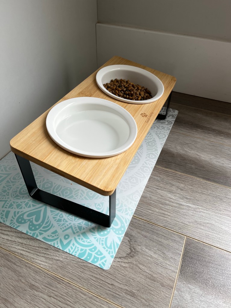 a picture of a raised cat bowl